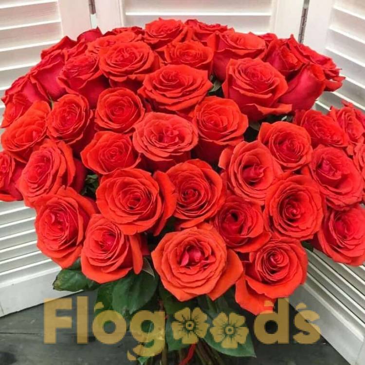 51 красная роза за 19 536 руб.
